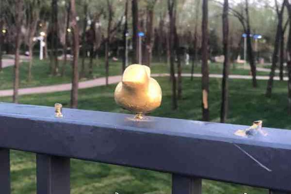 蒙通联vs广州恒大-乐鱼app(leyu)官方网站-乐鱼官网