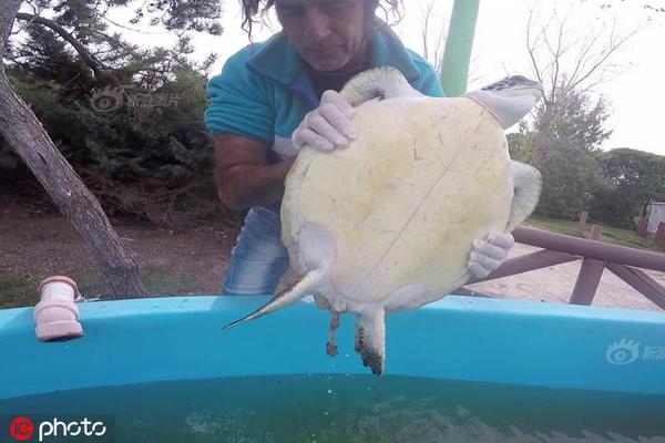 弗格森宣布退休