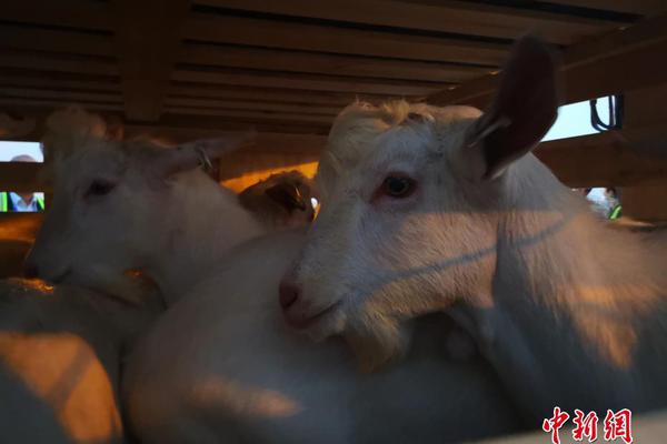 天下足球斯科尔斯-乐鱼app(leyu)官方网站-乐鱼官网