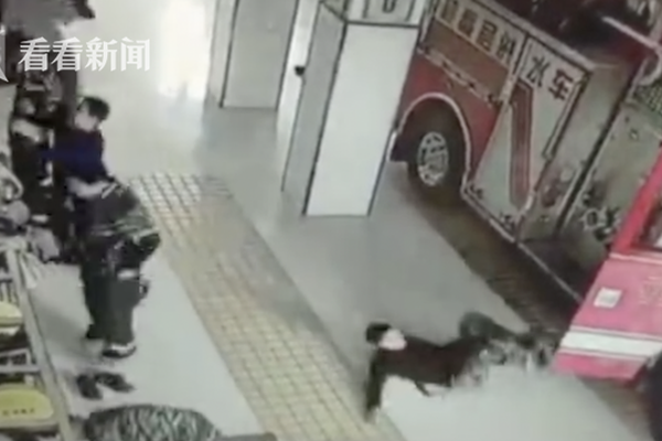 拉科马尼诺夫-乐鱼app(leyu)官方网站-乐鱼官网