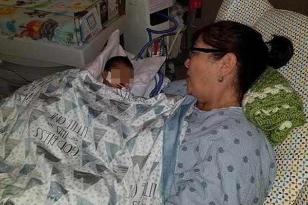 法布雷加斯转会