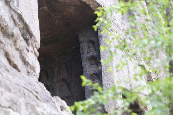 张弛-乐鱼app(leyu)官方网站-乐鱼官网