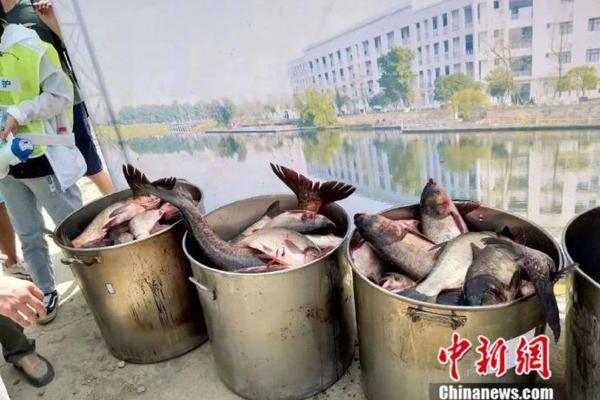 天下足球舍甫琴科