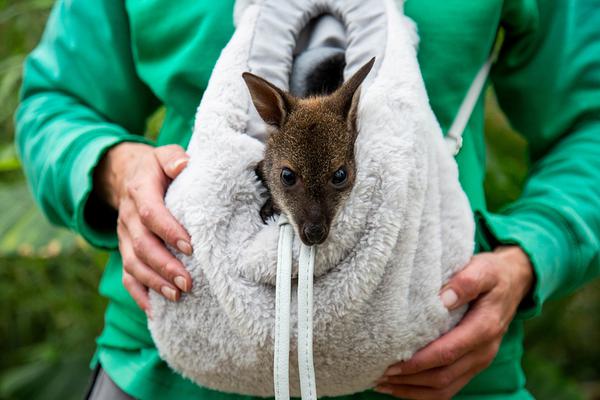 威斯特法伦球场-乐鱼app(leyu)官方网站-乐鱼官网