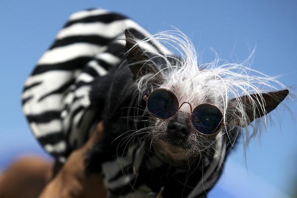 江苏综艺节目表-乐鱼app(leyu)官方网站-乐鱼官网