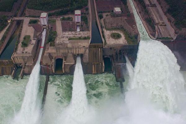 西班牙vs尼日利亚