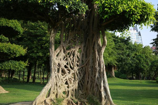 墨西哥毒品战争-乐鱼app(leyu)官方网站-乐鱼官网