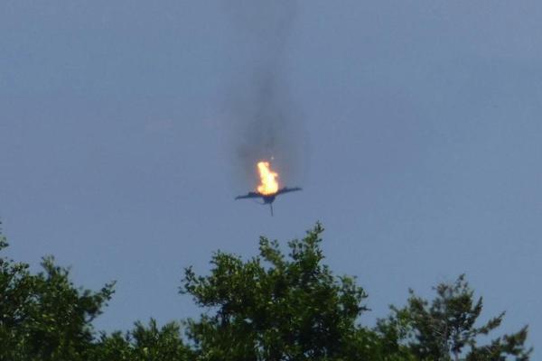 高卢雄鸡-乐鱼app(leyu)官方网站-乐鱼官网