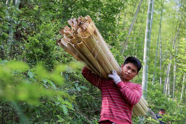 霍华德盖帽集锦-乐鱼app(leyu)官方网站-乐鱼官网