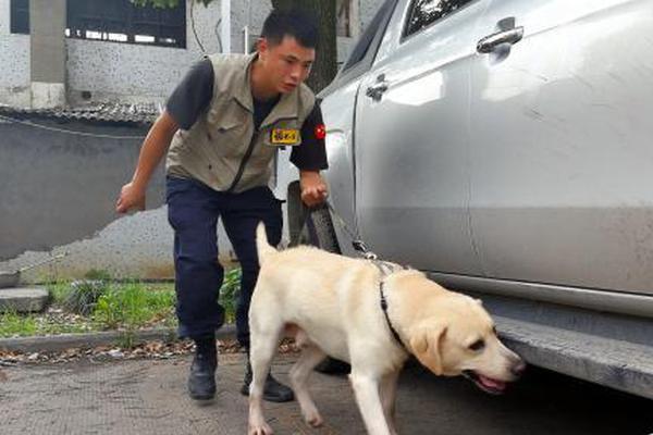 c9神枪手加点-乐鱼app(leyu)官方网站-乐鱼官网