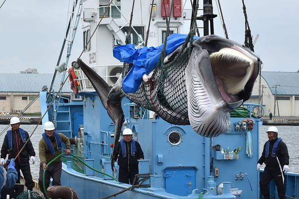 电子科大跳楼-爱游戏APP（中国）官方网站下载_AIYOUXI体育