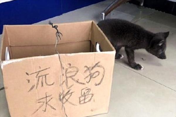 世界杯 开幕式-乐鱼app(leyu)官方网站-乐鱼官网