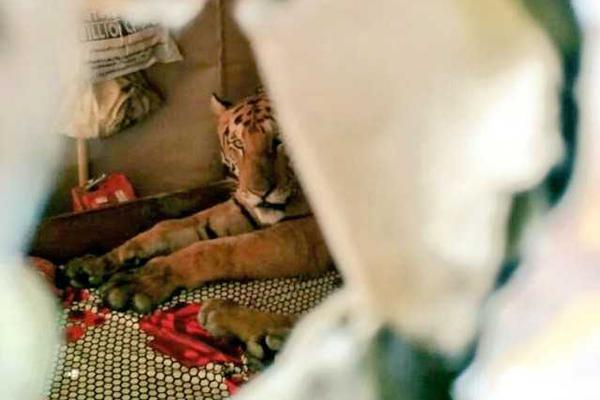 2012美网决赛-乐鱼app(leyu)官方网站-乐鱼官网