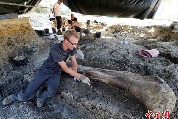 我终于失去了你李宗盛-乐鱼app(leyu)官方网站-乐鱼官网