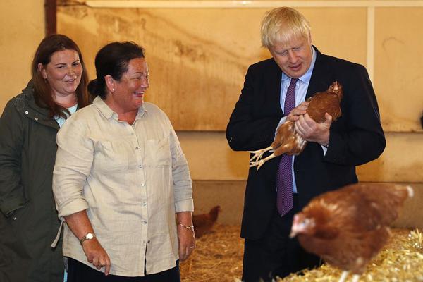 足球资讯网-乐鱼APP下载-乐鱼体育app-乐鱼体育官网网站|乐鱼体育