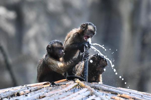 98年法国队-乐鱼app(leyu)官方网站-乐鱼官网