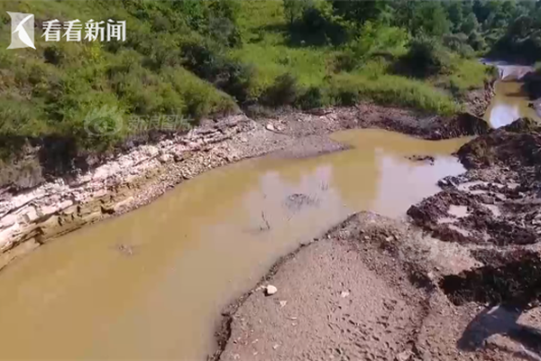 法布雷加斯转会