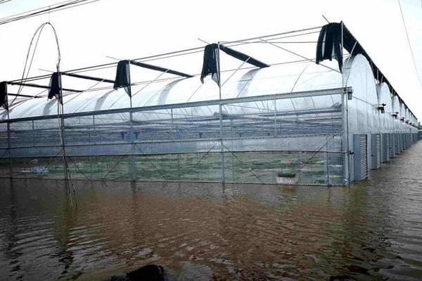 拜仁中国行-乐鱼APP下载-乐鱼体育app-乐鱼体育官网网站|乐鱼体育