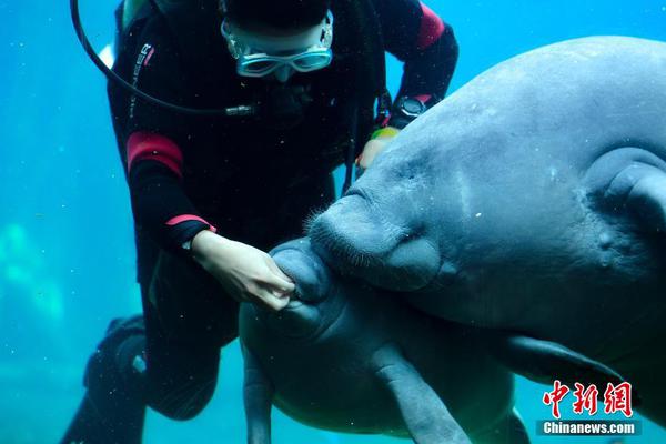 针针-乐鱼app(leyu)官方网站-乐鱼官网