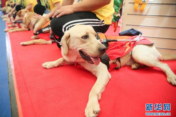 中央电视台二台-乐鱼app(leyu)官方网站-乐鱼官网