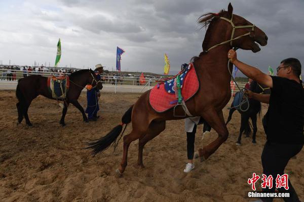 半球盘技巧-乐鱼app(leyu)官方网站-乐鱼官网