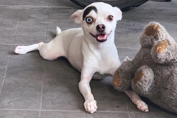 杜尔姆-乐鱼app(leyu)官方网站-乐鱼官网