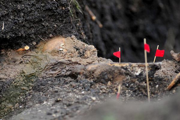 老甲a联赛-爱游戏App官方下载入口-爱游戏