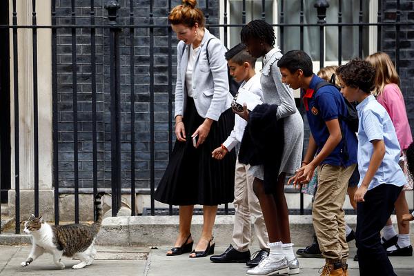 李建滨微博-乐鱼app(leyu)官方网站-乐鱼官网