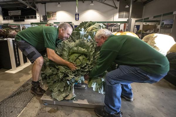 世界杯b组-九游体育(JIUYOU)官方网站-APP下载官网入口