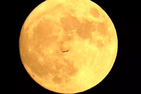 n62ba-乐鱼app(leyu)官方网站-乐鱼官网