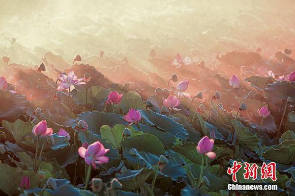 巴神穿衣服-乐鱼app(leyu)官方网站-乐鱼官网