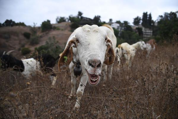 11年扣篮大赛-乐鱼app(leyu)官方网站-乐鱼官网