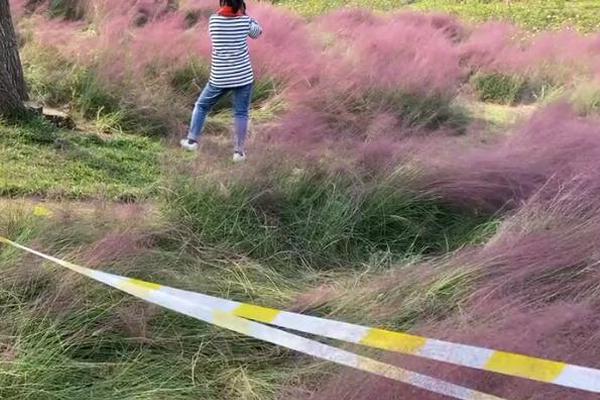 马特乌斯克林斯曼