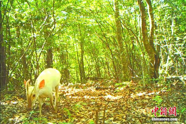 新浪排球新闻-乐鱼app(leyu)官方网站-乐鱼官网