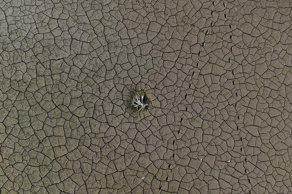 切尔西34号-乐鱼app(leyu)官方网站-乐鱼官网