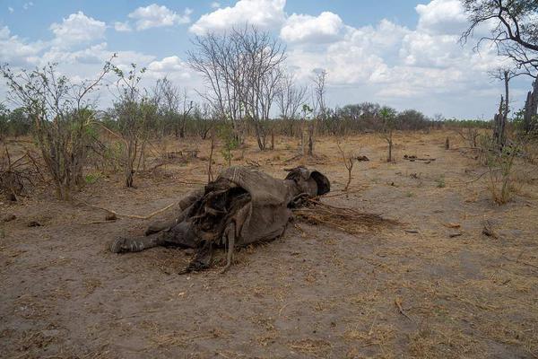 世界杯球衣-九游体育APP下载-九游体育app-九游体育app官网网站|九游体育