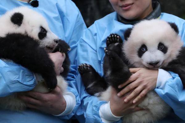 大阅兵直播-乐鱼app(leyu)官方网站-乐鱼官网