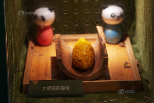 柯奇士-乐鱼app(leyu)官方网站-乐鱼官网