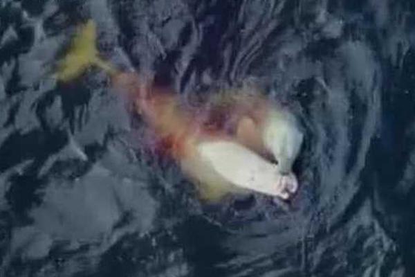 火箭vs黄蜂直播-乐鱼app(leyu)官方网站-乐鱼官网