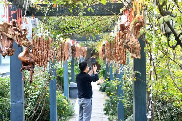 佩蒂特-乐鱼app(leyu)官方网站-乐鱼官网