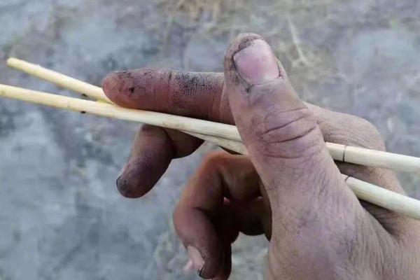 西班牙vs尼日利亚