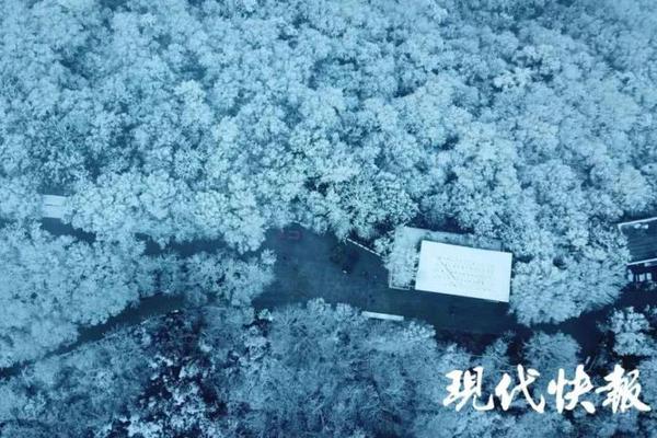 国米三冠王-乐鱼app(leyu)官方网站-乐鱼官网