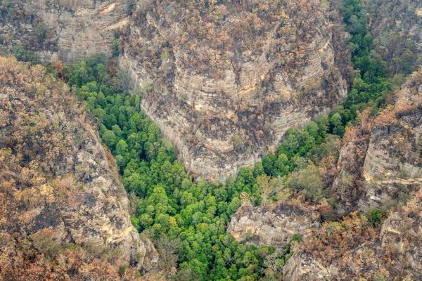 武里南联外援-爱游戏App官方下载入口-爱游戏