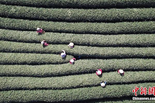 延边卫视直播-乐鱼app(leyu)官方网站-乐鱼官网