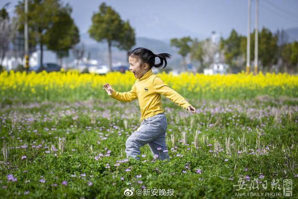 nba排名2013-乐鱼app(leyu)官方网站-乐鱼官网