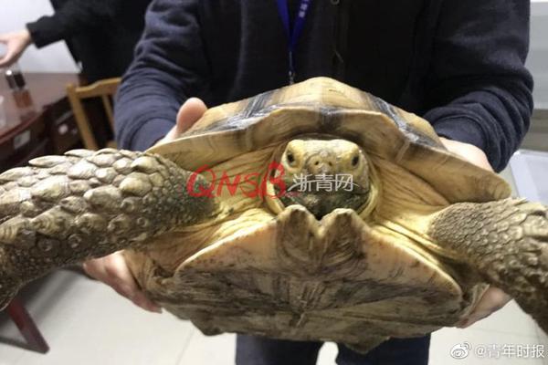 nba总决赛时间-乐鱼app(leyu)官方网站-乐鱼官网