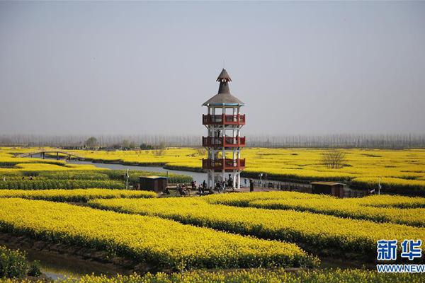 热火vs76人录像-乐鱼app(leyu)官方网站-乐鱼官网