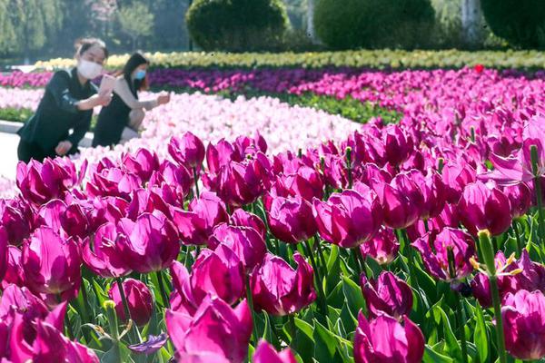 曼联 拜仁-乐鱼app(leyu)官方网站-乐鱼官网