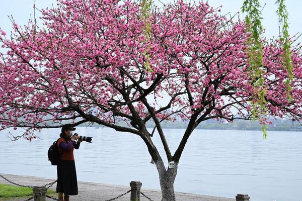 广州恒大vs河南建业-九游体育(JIUYOU)官方网站-APP下载官网入口