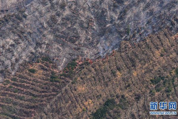 日本球迷吐槽-爱游戏APP(中国)官方网站下载_AIYOUXI体育